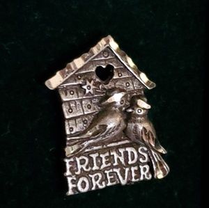 Friends Forever Birdhouse Sterling Silver Pin